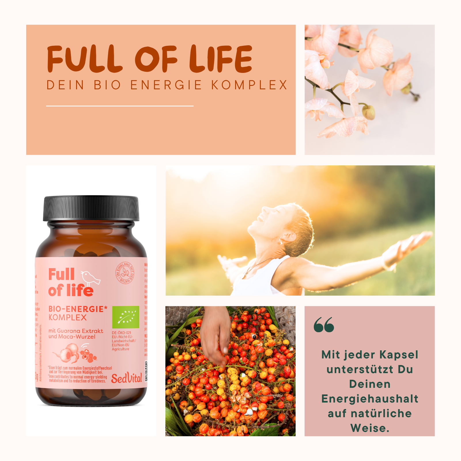 Full of Life Bio Energie Komplex 90 Kapseln